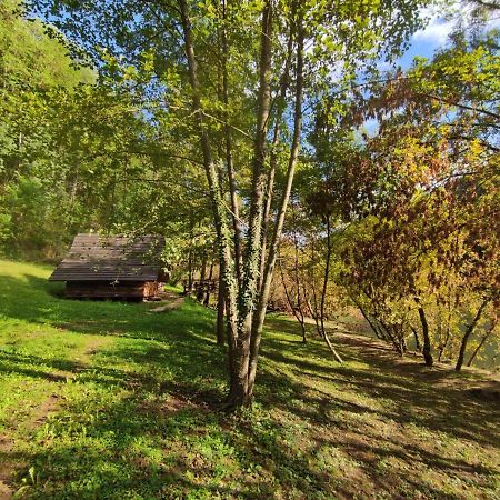 Kolibe - Robinson Camp Kupa Hotel Netretic Екстериор снимка
