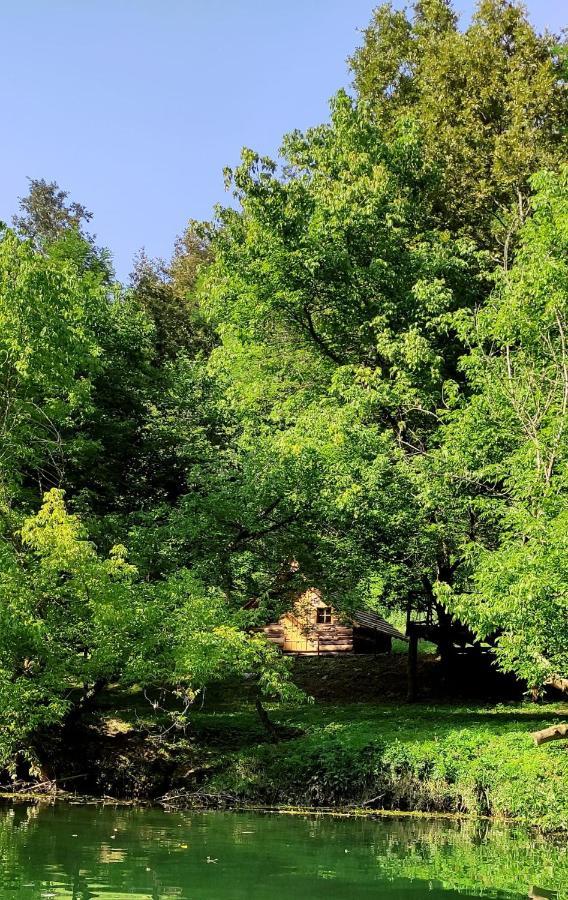 Kolibe - Robinson Camp Kupa Hotel Netretic Екстериор снимка